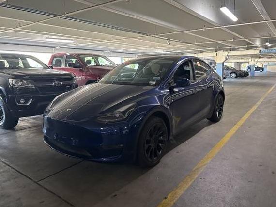 TESLA MODEL Y 2023 7SAYGDEE4PF929052 image